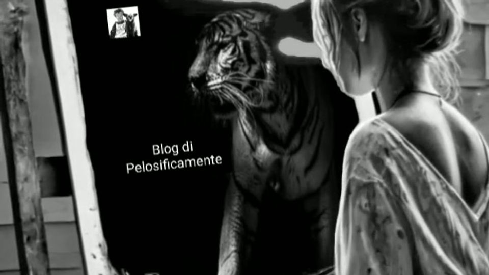 Blog di Pelosoficamente